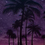 PlayStation Experience 2017