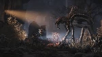 Single player - Evolve