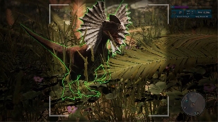 Nuevo tráiler - Morels: Out of this World