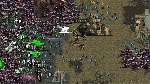 Nuevo tráiler - Warhammer Survivors