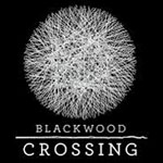 Blackwood Crossing (PSN/XBLA)
