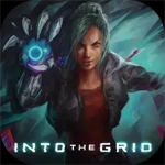 Into The Grid