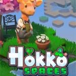 Hokko Spaces