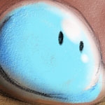 Conocé Drop Alive, un muy lindo juego argentino