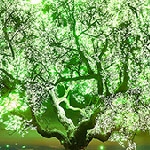 Viví una experiencia de mundial única con LG OLED TV 