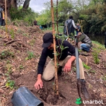 Acer Argentina se une a la ONG Un Árbol para una jornada de reforestación