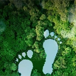 Mitos y conceptos erróneos sobre las PC ecológicas