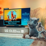 LG y Disney+ se unen para ofrecer experiencias inmersivas en la comodidad del hogar