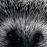 [Cine] El Mensaje se estrena el 3 de julio