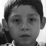 [Cine] MUBI y MACO llegan Moscas al cine el 2 de julio