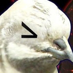 Anunciada la secuela de Hatoful Boyfriend