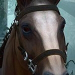 Todo lo que siempre quisiste saber sobre Roach