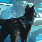 Anunciado Barkour