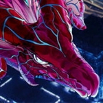 Dragon Spirits 2 llega a PC el 16 de septiembre