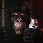 Anunciado Animal Use Protocol