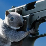 Squirrel with a Gun llega a Switch 2 el 18 de noviembre