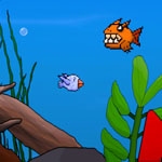 Anunciado Loopquarium