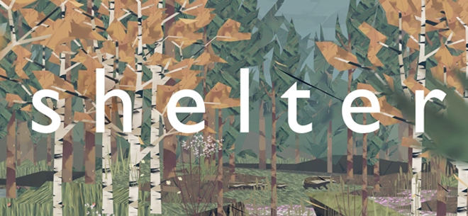Shelter