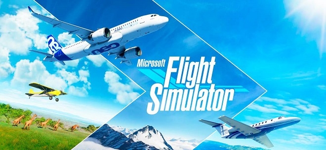 Microsoft Flight Simulator